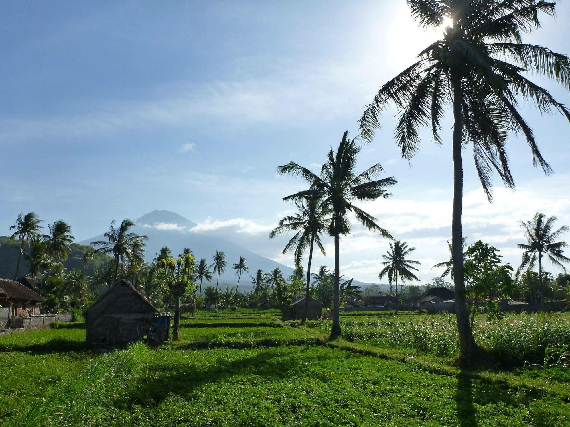 Bali Fab Dive Center Hostel Amed  Bagian luar foto